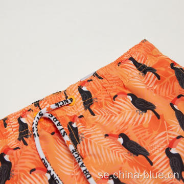 Boy&#39;s Toucan Print Swim Beach Shorts